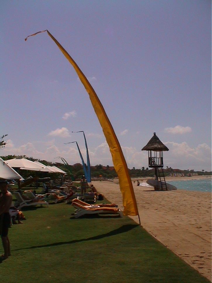 DSC00006.JPG