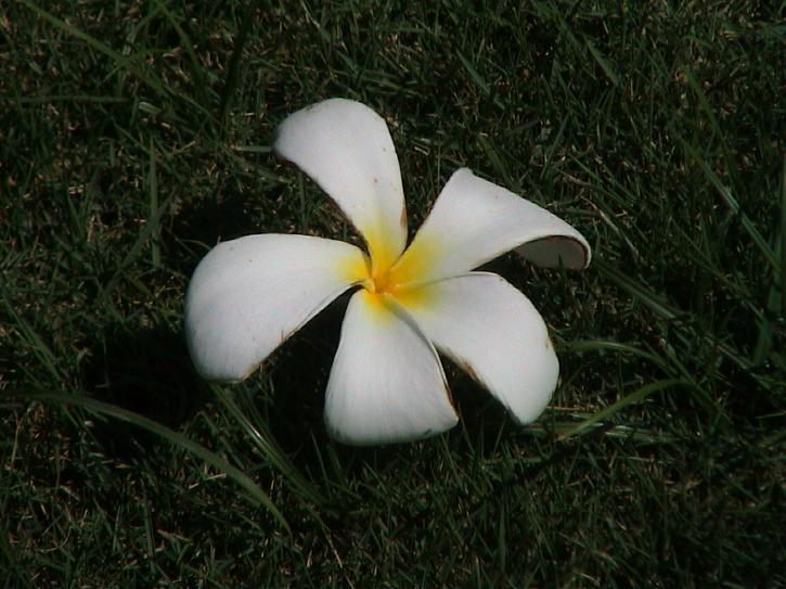 DSC00071.JPG