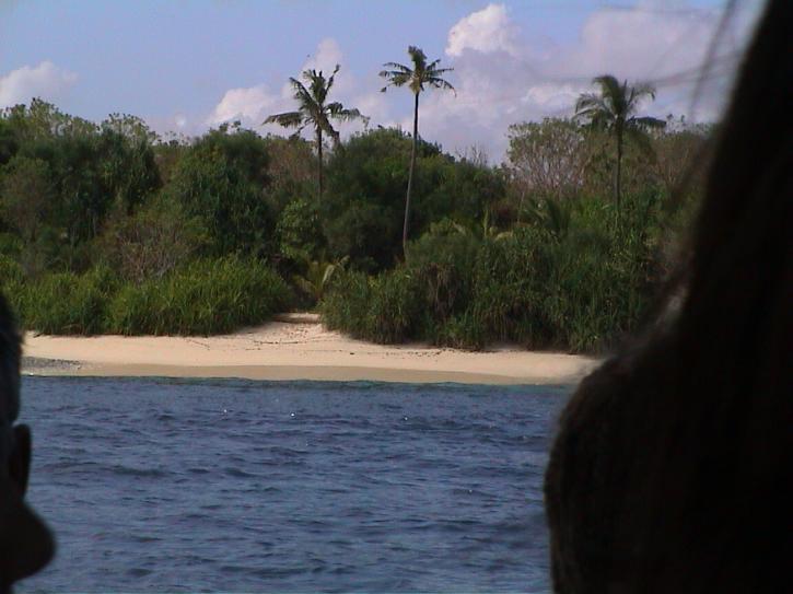 DSC00102.JPG